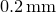 $0.2\, \mathrm{mm}$